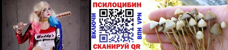 Галлюциногенные грибы ЛСД  даркнет сайт  Елизаветинская 