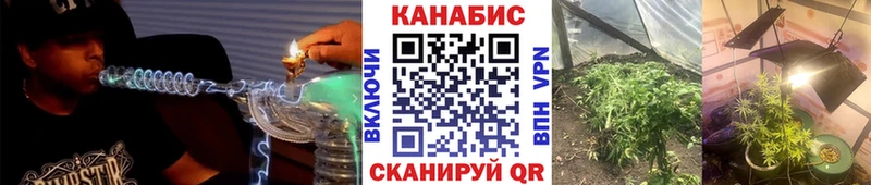 Бошки марихуана гибрид  omg маркетплейс  Елизаветинская 